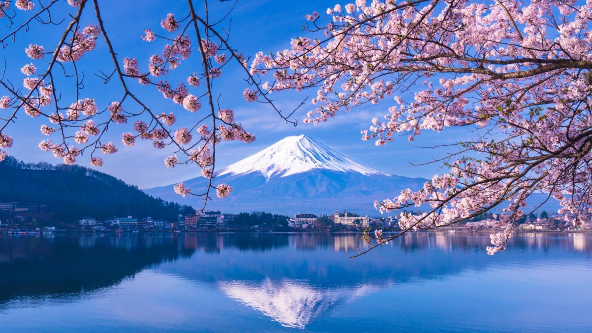 Mt Fuji Glamping Tourist Villa Kawaguchiko Fujikawaguchiko Zewnętrze zdjęcie