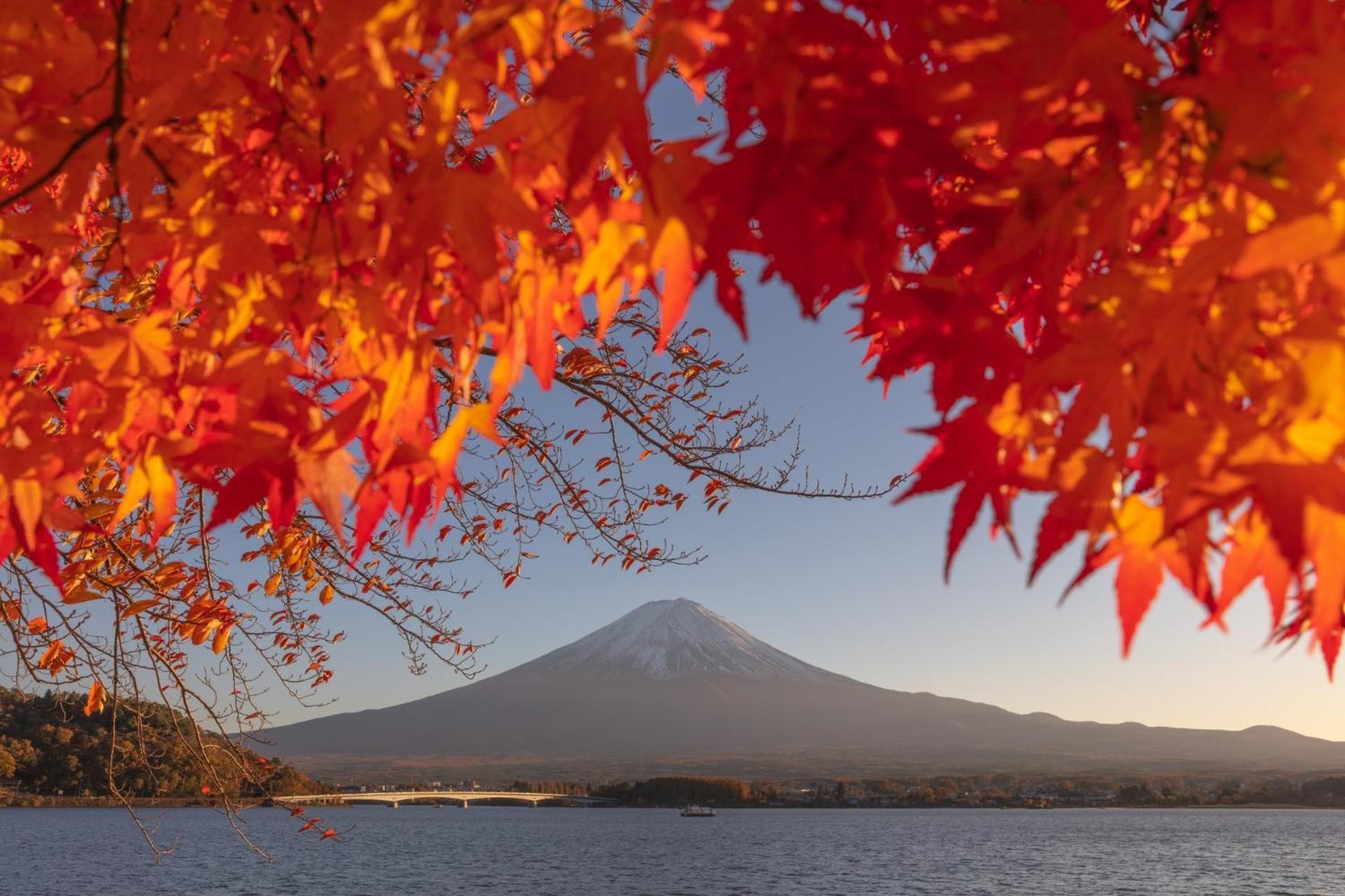 Mt Fuji Glamping Tourist Villa Kawaguchiko Fujikawaguchiko Zewnętrze zdjęcie