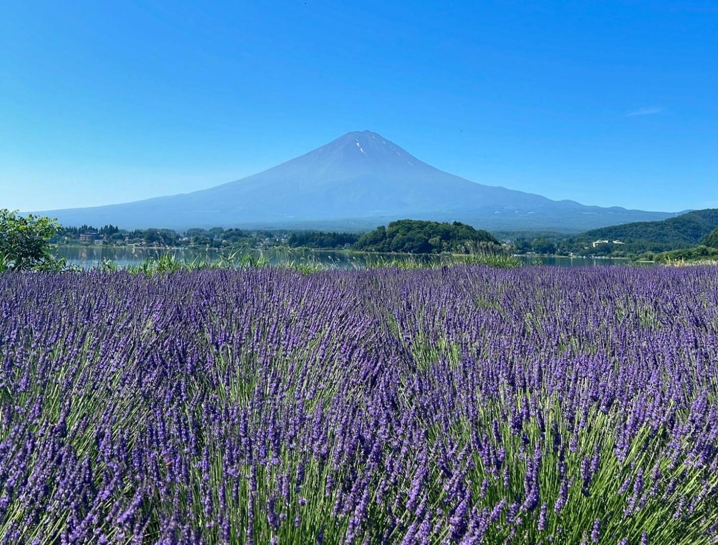 Mt Fuji Glamping Tourist Villa Kawaguchiko Fujikawaguchiko Zewnętrze zdjęcie
